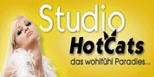 www.studiohotcats.ch